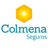 SegColmena SegColmena